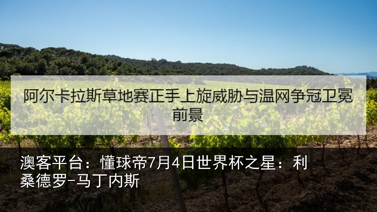 澳客平台：懂球帝7月4日世界杯之星：利桑德罗-马丁内斯
