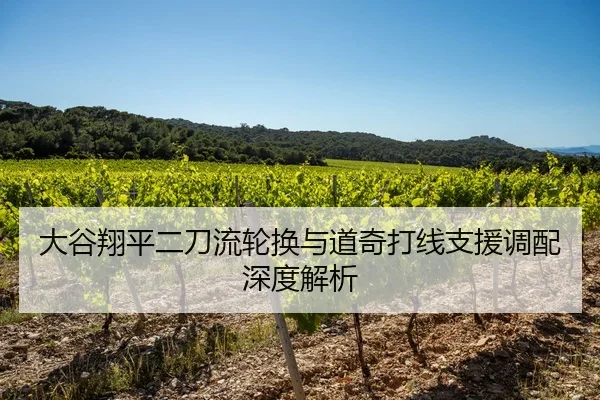 大谷翔平二刀流轮换与道奇打线支援调配深度解析