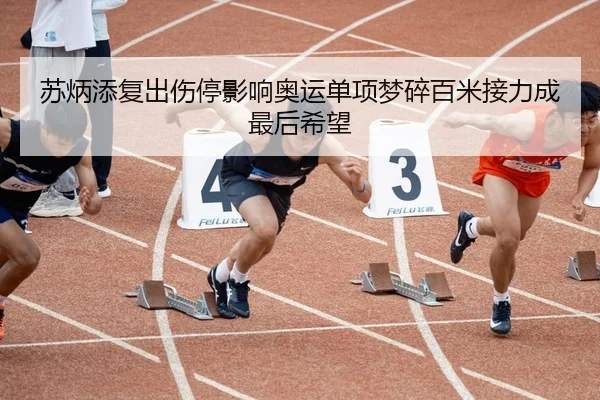 苏炳添复出伤停影响奥运单项梦碎百米接力成最后希望