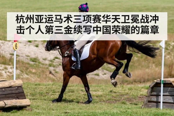 杭州亚运马术三项赛华天卫冕战冲击个人第三金续写中国荣耀的篇章